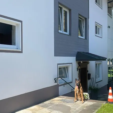 Apartment Waldhaus Ii